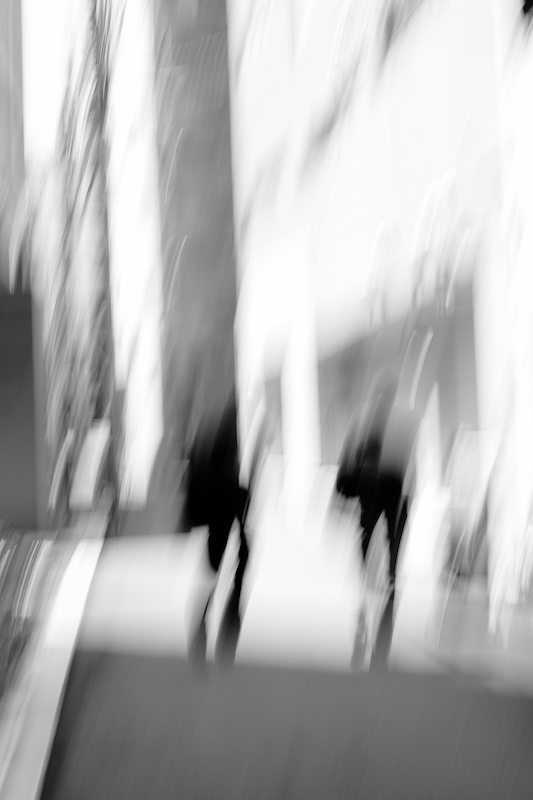 DSCF5571.jpg